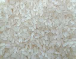 Manufacturers Exporters and Wholesale Suppliers of Ir8 Parboiled Rice Nagpur Maharashtra